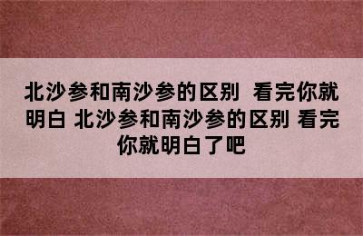 北沙参和南沙参的区别  看完你就明白 北沙参和南沙参的区别 看完你就明白了吧